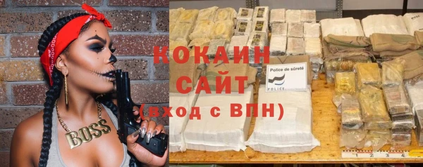 гидра Алексин