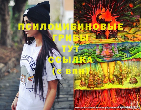 гидра Алексин